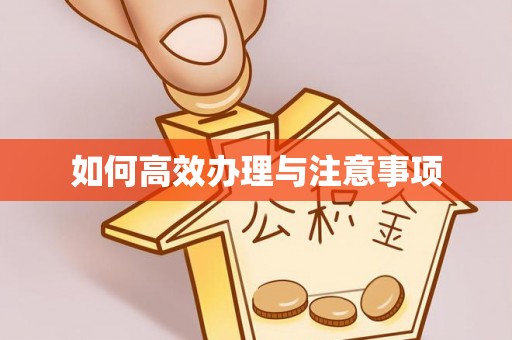 七星关如何高效办理与注意事项