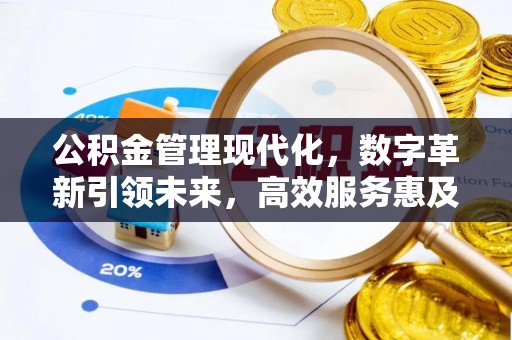 七星关公积金管理现代化，数字革新引领未来，高效服务惠及民生