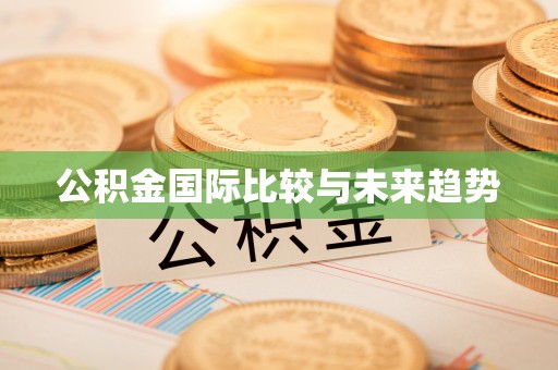 七星关公积金国际比较与未来趋势