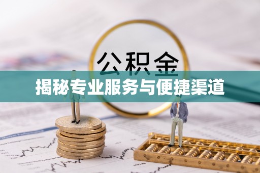 七星关揭秘专业服务与便捷渠道