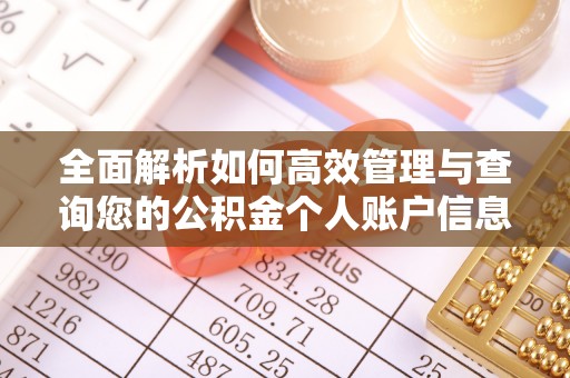 七星关全面解析如何高效管理与查询您的公积金个人账户信息