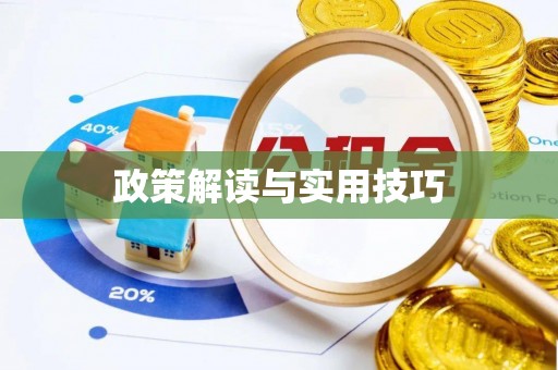 七星关政策解读与实用技巧
