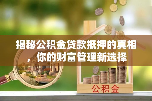 七星关揭秘公积金贷款抵押的真相，你的财富管理新选择