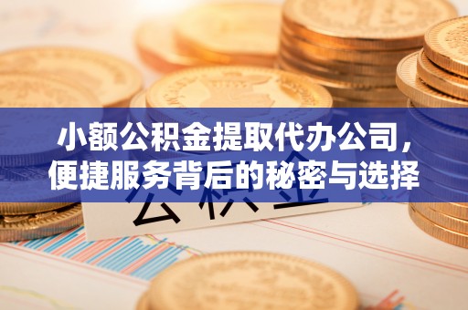 七星关小额公积金提取代办公司，便捷服务背后的秘密与选择指南