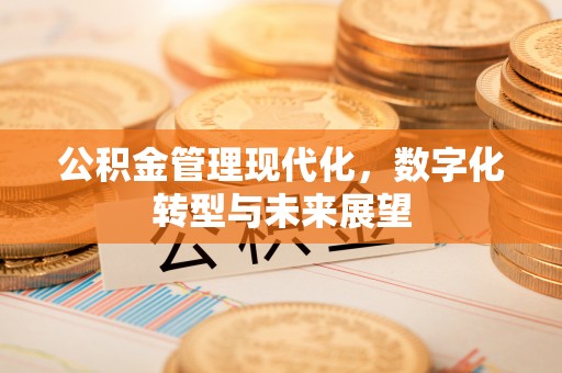 七星关公积金管理现代化，数字化转型与未来展望