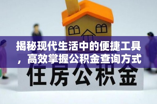 七星关揭秘现代生活中的便捷工具，高效掌握公积金查询方式