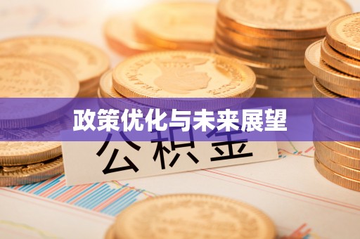 七星关政策优化与未来展望