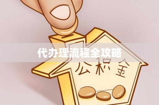 七星关代办理流程全攻略