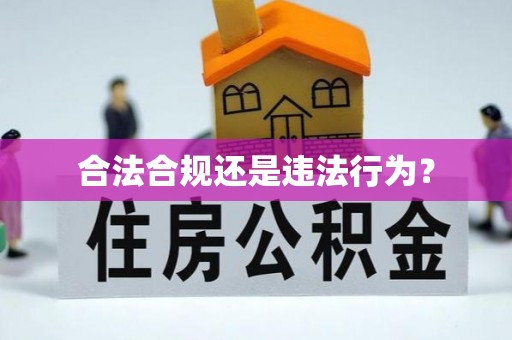 七星关合法合规还是违法行为？