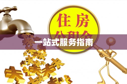 七星关一站式服务指南